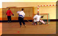 Redimensionnement de Entrainement N02 2005-04-11 19-18-33.JPG (40109 octets)