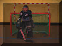 HOCKEY N02 19-02-05.JPG (56930 octets)