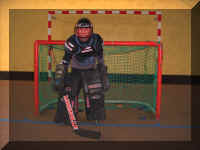 HOCKEY N04 19-02-05.JPG (67910 octets)