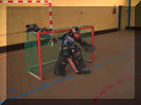HOCKEY N08 19-02-05.JPG (45116 octets)