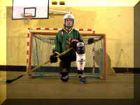 Redimensionnement de Hockey BLD N62.JPG (98979 octets)